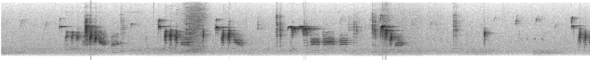 Black-capped Chickadee - ML644287199