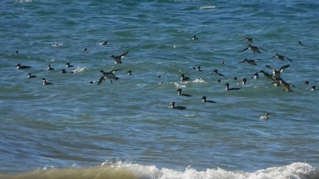 siland - ML644287480