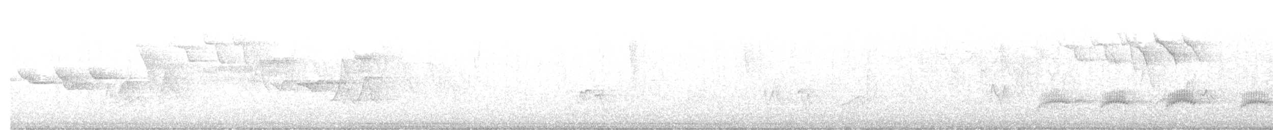 ノドグロミドリアメリカムシクイ - ML644287579