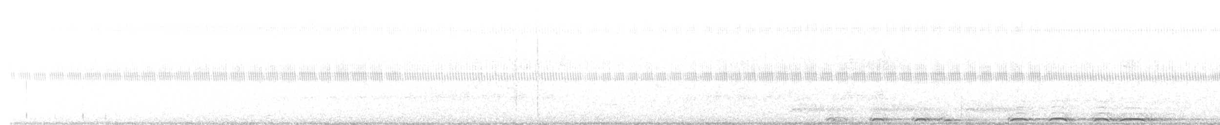 Barred Owl - ML644287595