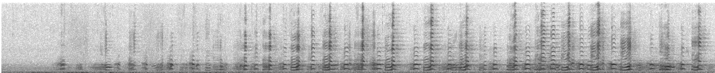 Oca canadese maggiore - ML644287669