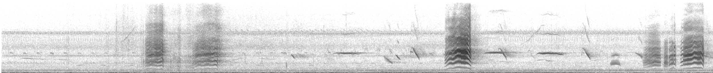 Yellow-collared Macaw - ML644287832