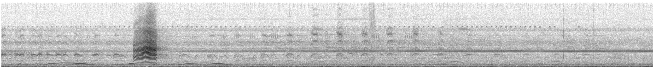 Yellow-collared Macaw - ML644287847