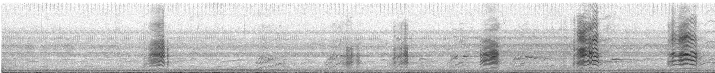 Yellow-collared Macaw - ML644287882