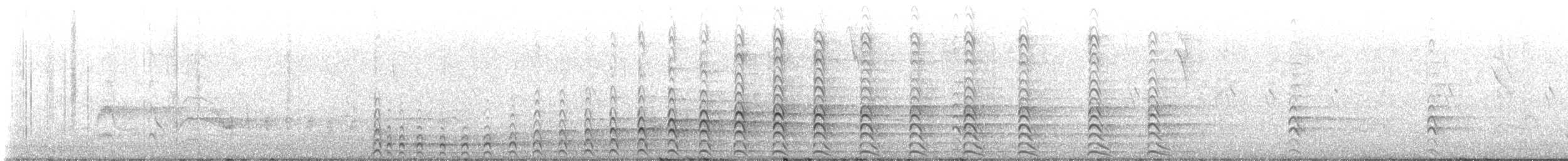 amerikasivhøne - ML644287917