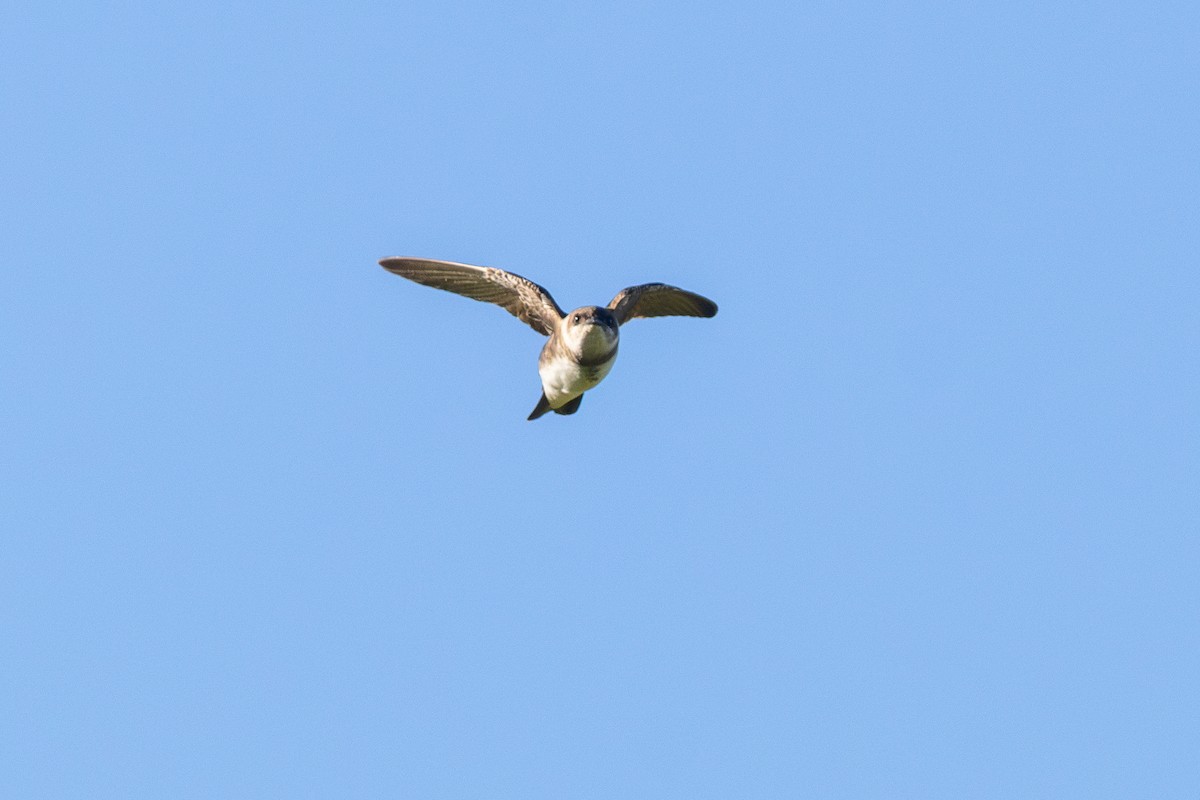 sandsvale - ML644287923