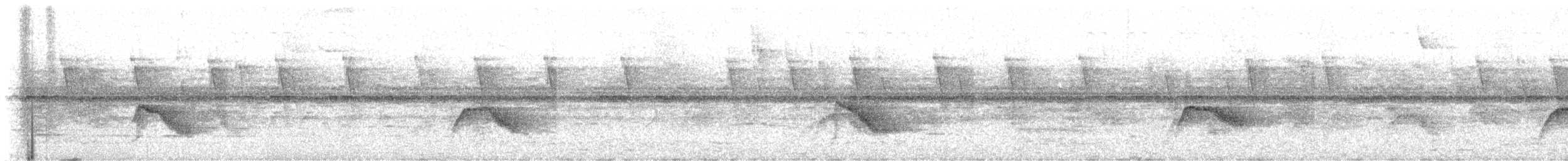 Grive à joues grises - ML644287987