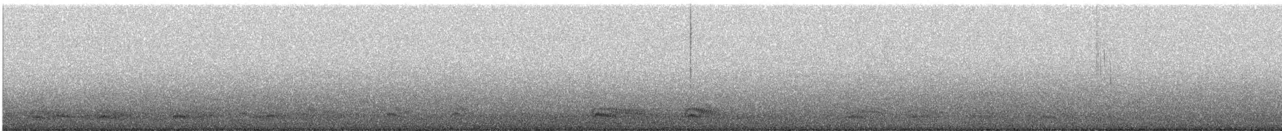 Corneille d'Amérique - ML644288285