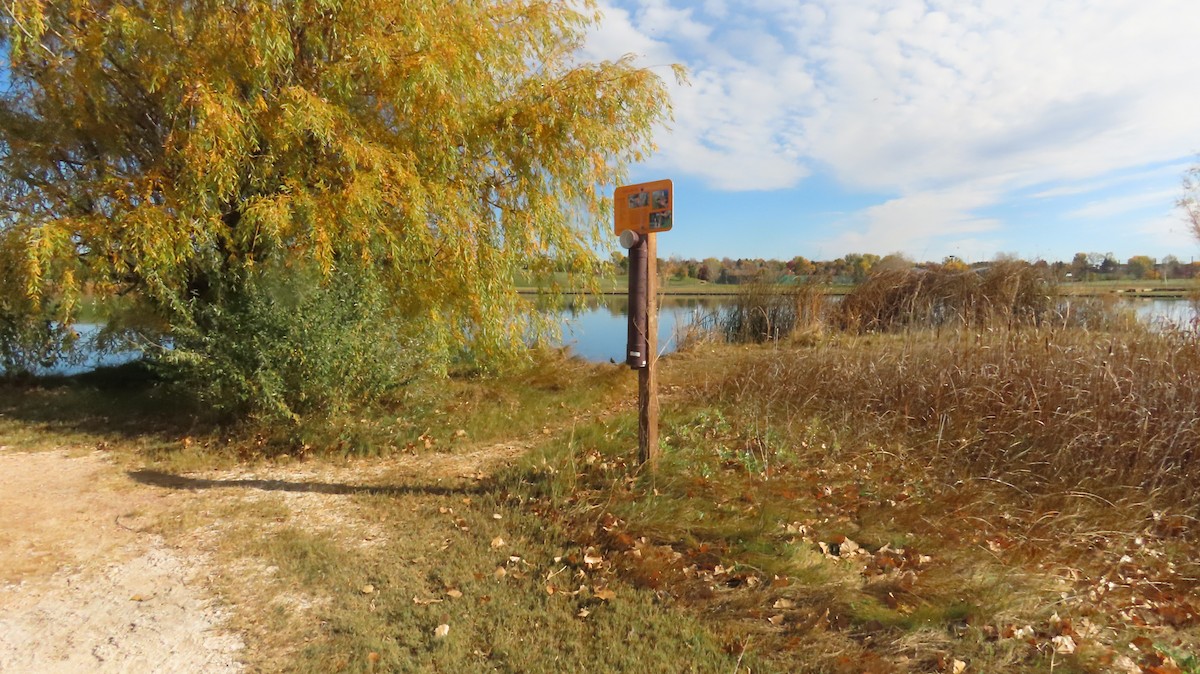 kanadabekkasin - ML644288354