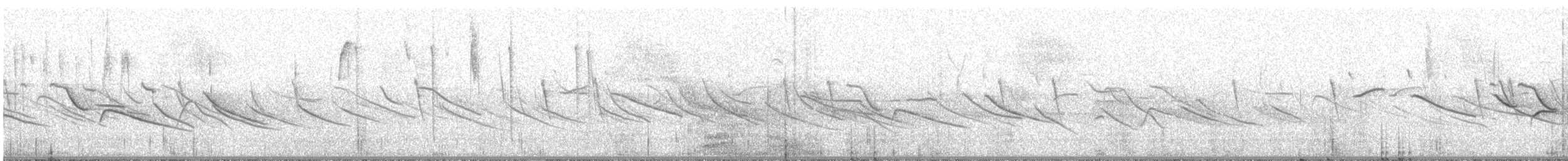 Peruvian Sheartail - ML644288442