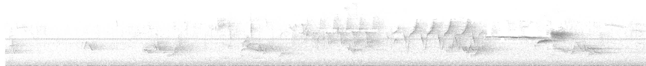 ノドグロミドリアメリカムシクイ - ML644289068