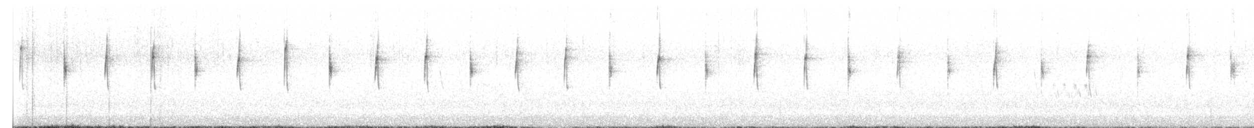 シロハラハチドリ - ML644289210