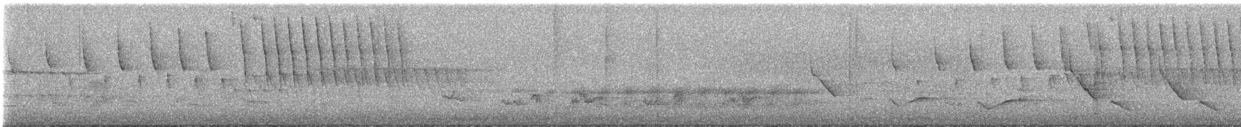 Tennessee Warbler - ML644289594