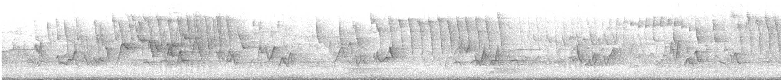 Болотянка строкатовола - ML644290712