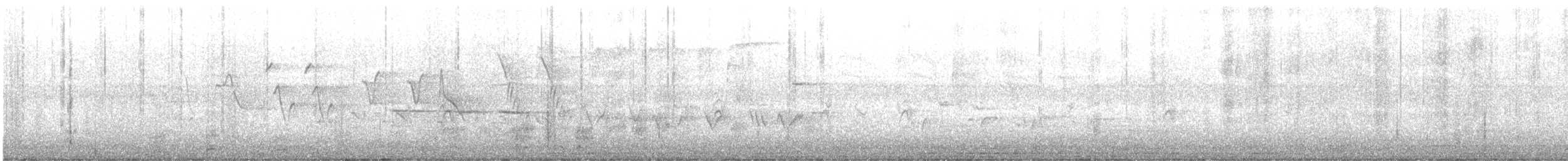 blåtykknebb - ML644290865