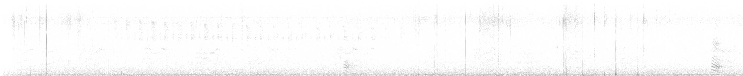 Corneille d'Amérique - ML644293146