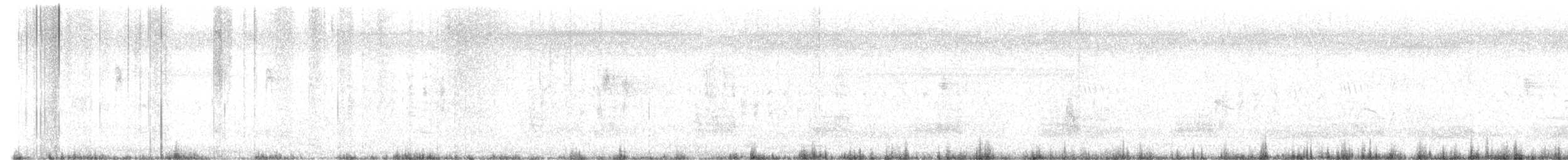 Eastern Spot-billed Duck - ML644293400