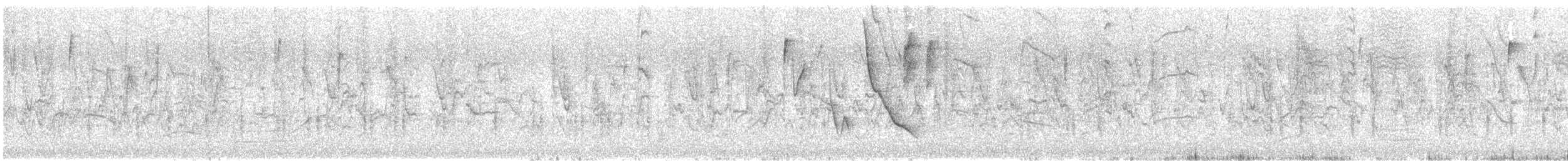 キバシイカル - ML644293650