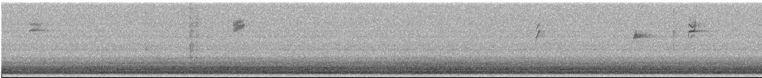 Parulidae sp. - ML644293874