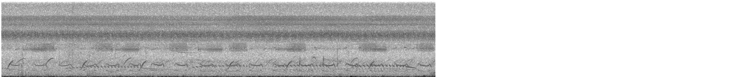 Ash-throated Crake - ML644293916