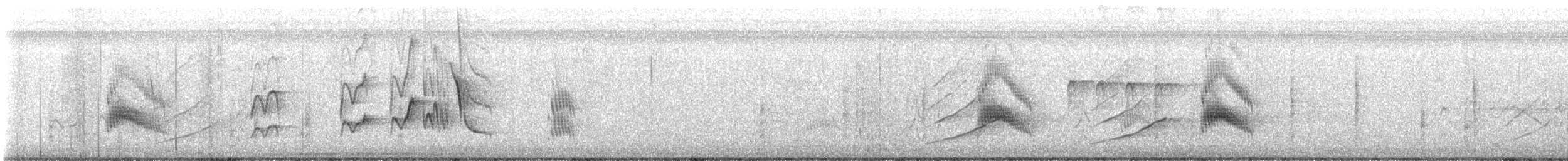 Couch's Kingbird - ML644294218