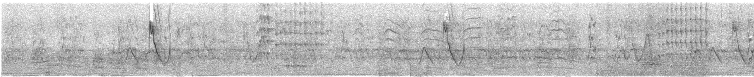 Guira cantara - ML644294341