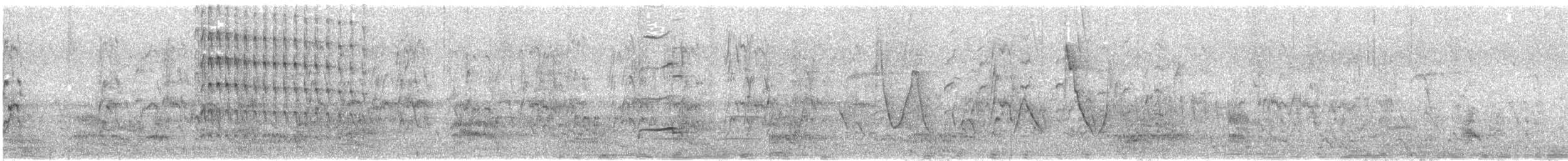 Guira cantara - ML644294342