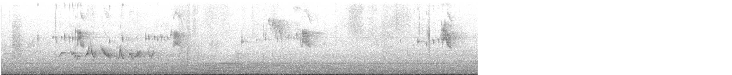 blåtykknebb - ML644294589