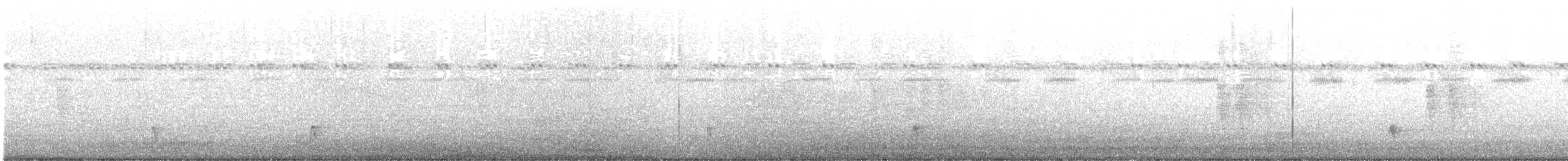 Eastern Whip-poor-will - ML644295223