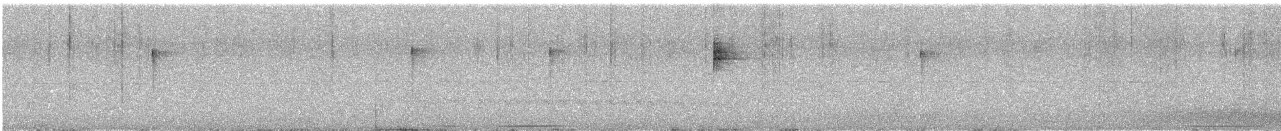 White-tipped Dove - ML644295340