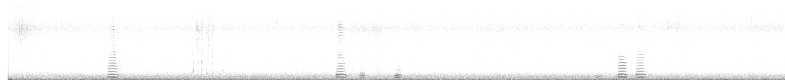 Trumpeter Swan - ML644295576