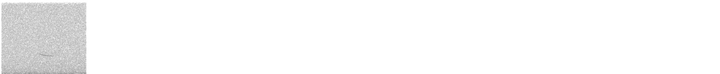 Hermit Thrush - ML644295762