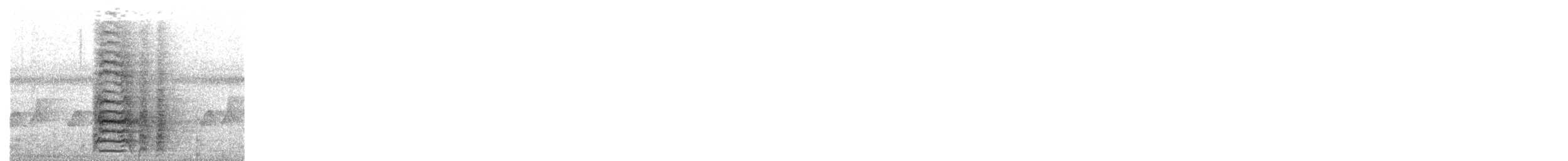 Bornean Peacock-Pheasant - ML644296056