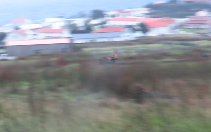 åkerrikse - ML644297016