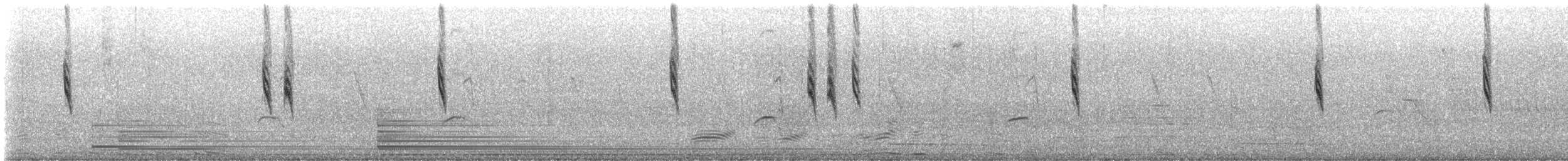 Bruant chingolo - ML644297517