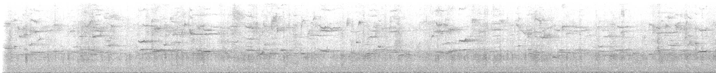 Quiscale bronzé - ML644297754