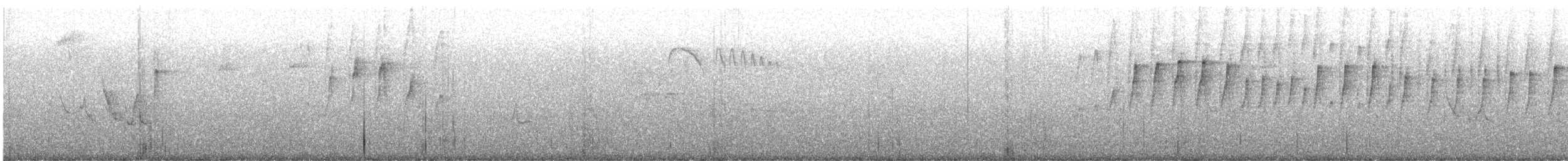 Picolezna Rojizo - ML644298288