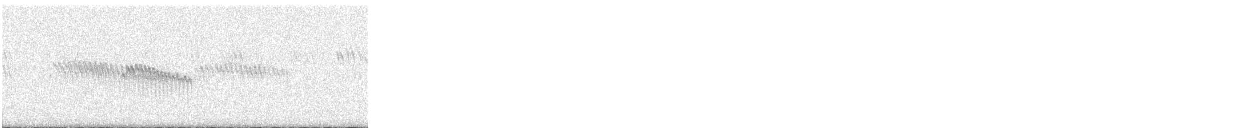 Buztanori boreala - ML644298324