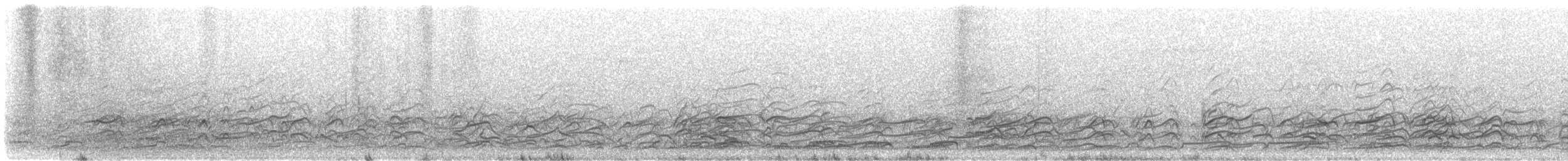 アメリカズグロカモメ - ML644299160