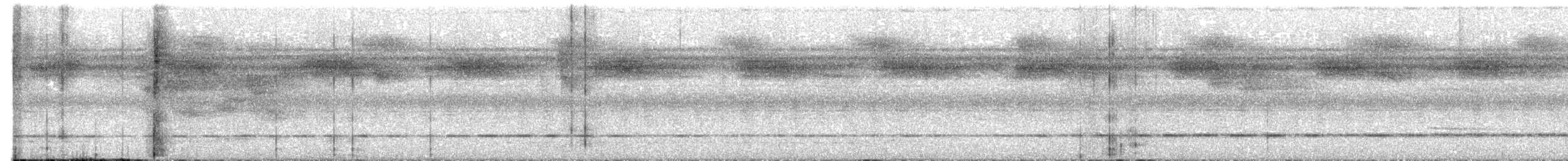 Black-crowned Antpitta - ML644299475