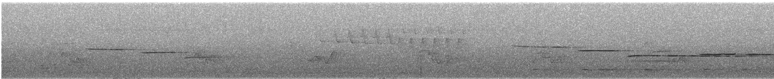 White-throated Sparrow - ML644299936