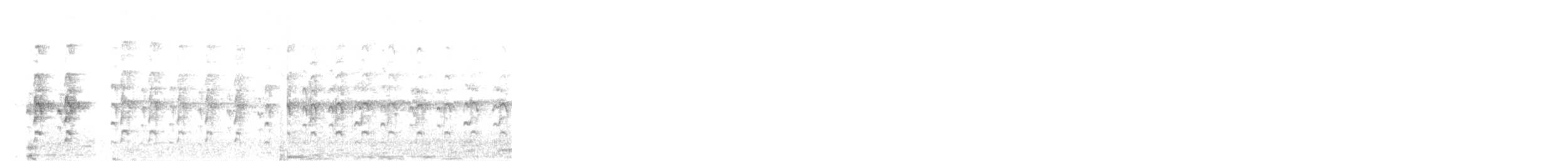 American Kestrel - ML644300263