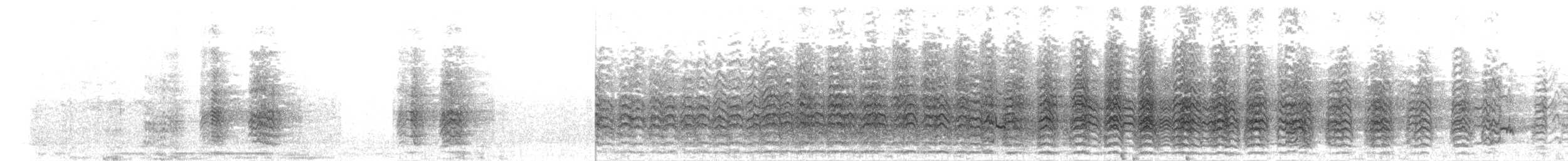 Alev Başlıklı Papağan - ML644300298