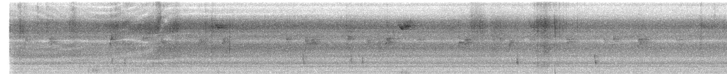 Hermit Thrush - ML644300375