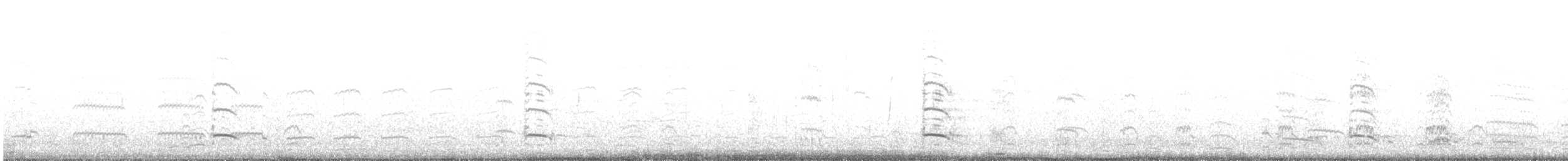 アンデスカモメ - ML644300425