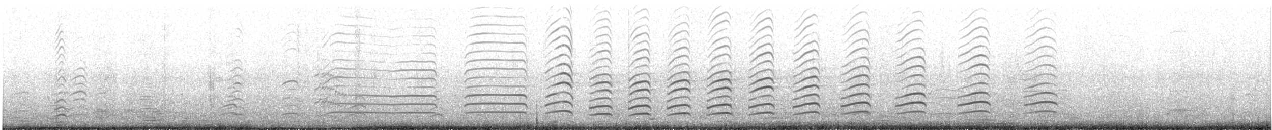 ペルーカモメ - ML644300434