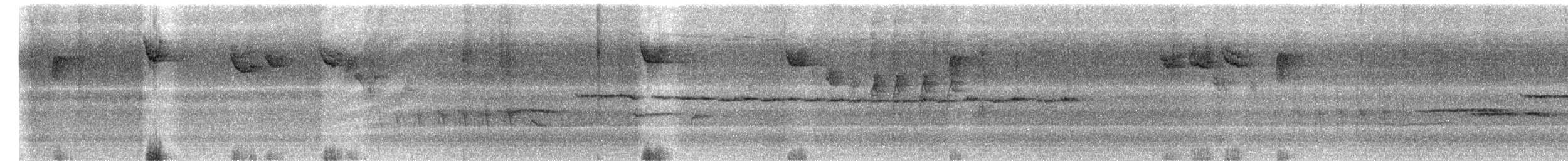 White-throated Sparrow - ML644300465