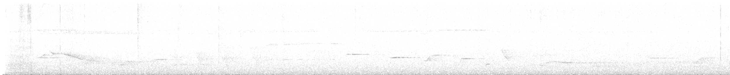 White-eared Monarch - ML644301032