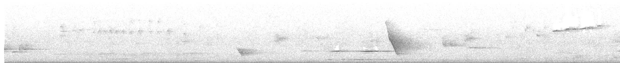 Gelbbauch-Dickkopf [pectoralis-Gruppe] - ML644301172