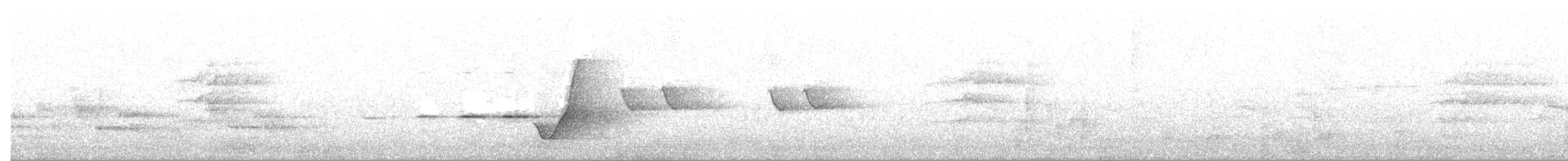 Gelbbauch-Dickkopf [pectoralis-Gruppe] - ML644301173